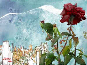 La Rosa e la vigna illustrazione di Georgia De Angelis