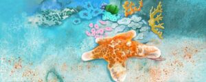 'Stella di mare' illustrazione di Georgia De Angelis