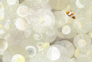 Pesce pagliaccio tra anemoni di mare illustrazione di Georgia De Angelis