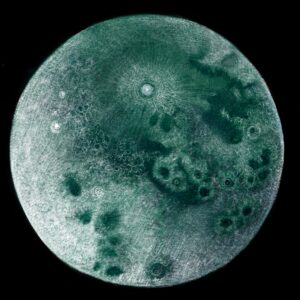 Illustrazione della luna piena di Georgia De Angelis associata ai mesi dell’anno tecnica mista, acquerello e digital illustration con procreate, stampa su carta hannemüle su ordinazione
