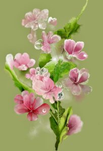 Fiori rosa illustrazione di Georgia De Angelis