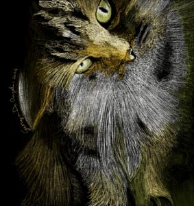 Illustrazione di gatto realizzata da Georgia De Angelis, ritratto felino su sfondo nero con segni materici e tecnica digitale contemporanea