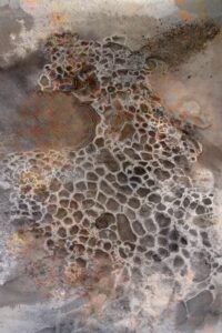 Superficie numero 1 illustrazione di Georgia De Angelis