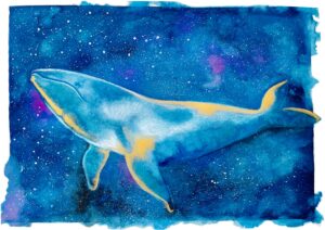 starwhale, illustrazione di Georgia De Angelis