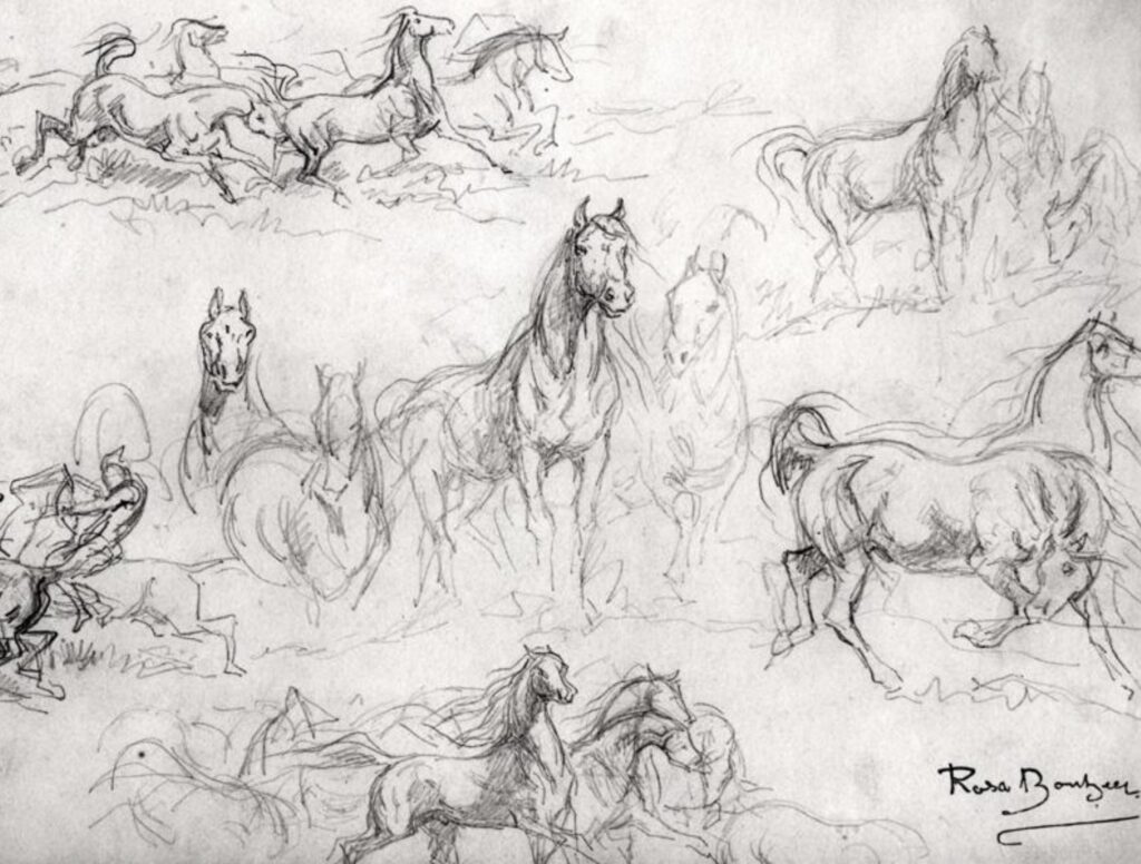 Rosa Bonheur disegna cavalli per realizzare il dipinto La fiera dei cavalli