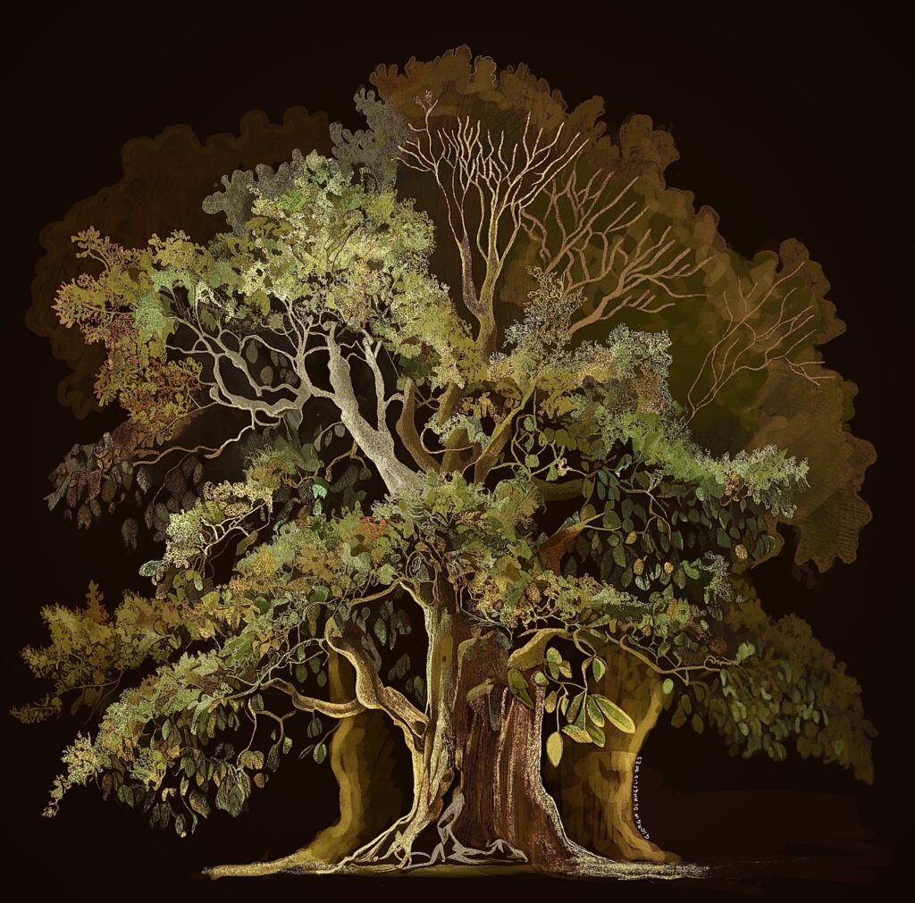 Un vecchio ed enorme castagno, ispirato dal castagno dei 100 cavalli che si trova in Sicilia, illustrato da Georgia De Angelis